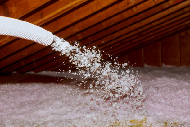 Best Local Insulation Services  in Ransomville, NY